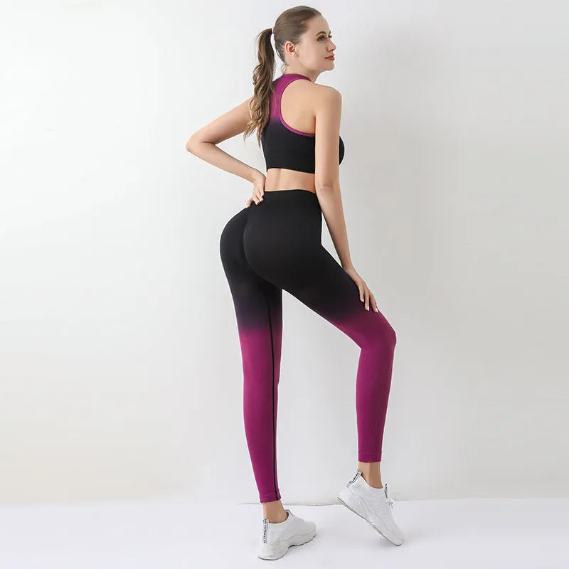 Wholesale Summer Thin High Waist Nylon Fitness Exercise Set